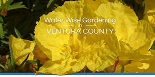 Screenshot of the Ventura County website